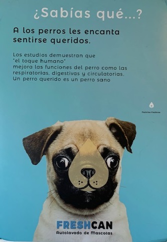 autolavado de mascotas en gijon